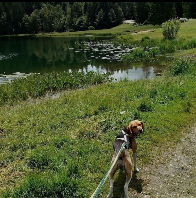 Studio Avec Belle Vue Proche Du Lac Genin Echallon Luaran gambar